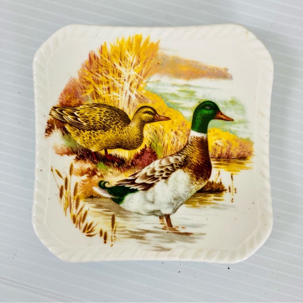 🔥🔥🔥Vintage England Royal Adderley square Coaster ADD102 Mallard Ducks Birds​